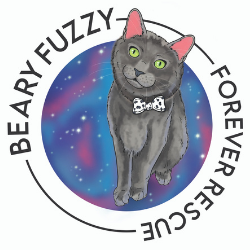 Beary Fuzzy Forever Rescue