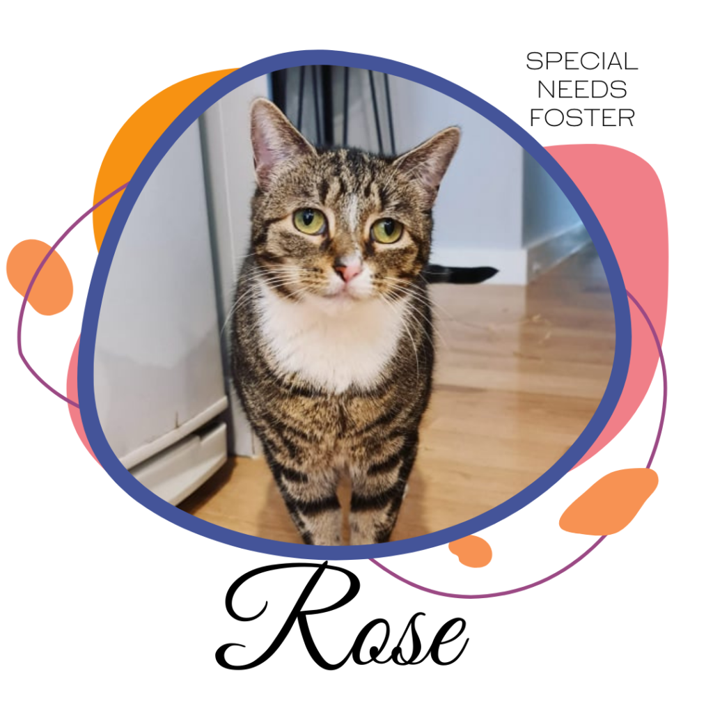 Sponsor Rose to help with her palliative care