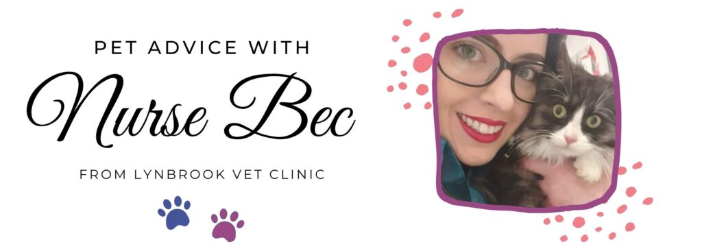 Pet Advice from Nurse Bec