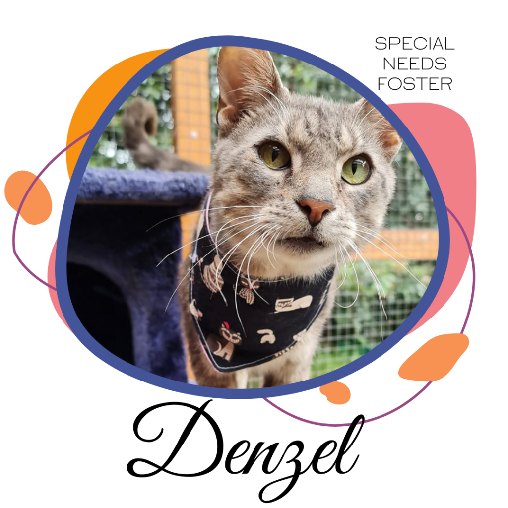 Sponsor Denzel to help with his special care