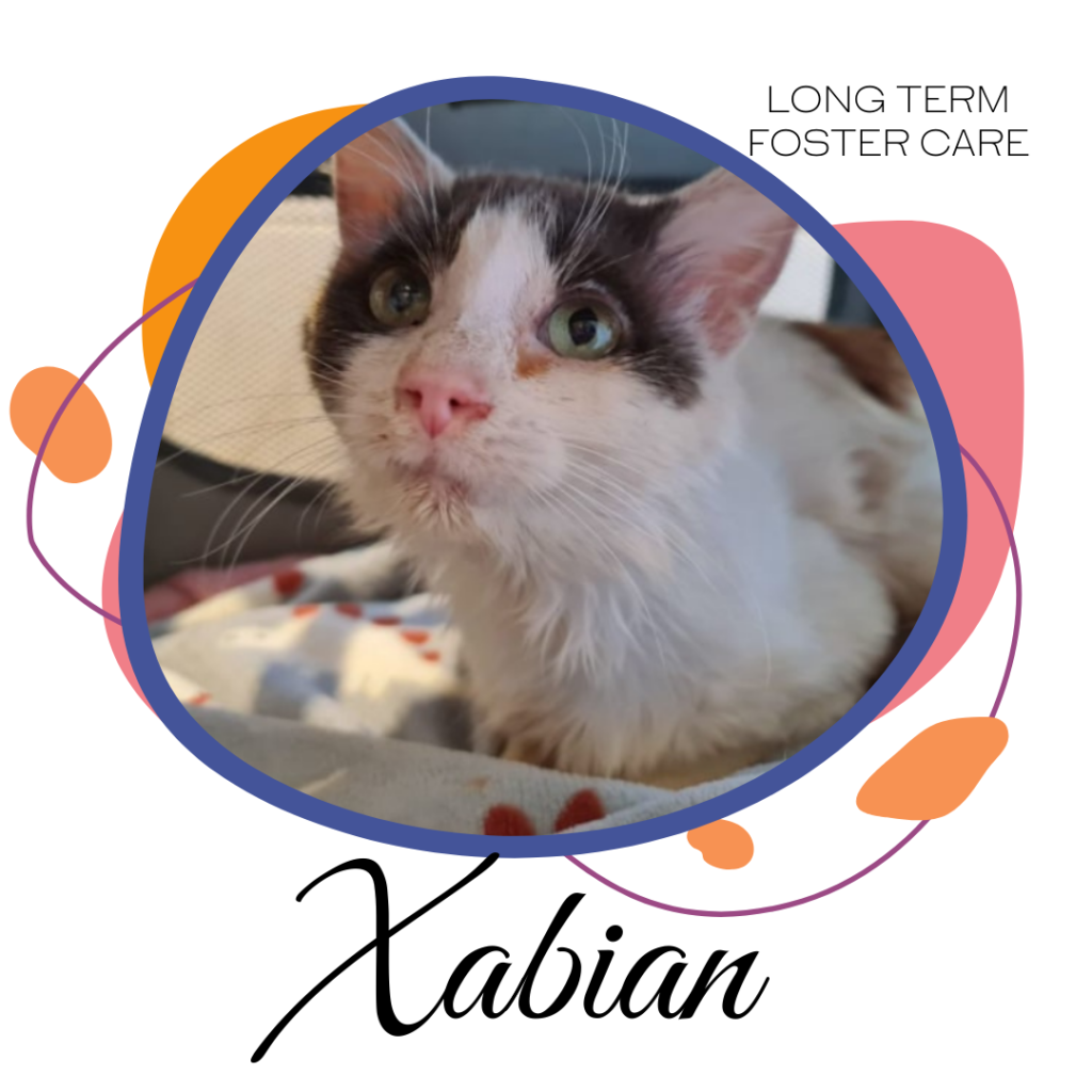 Xabian is a very special boy who requires long term health care and support