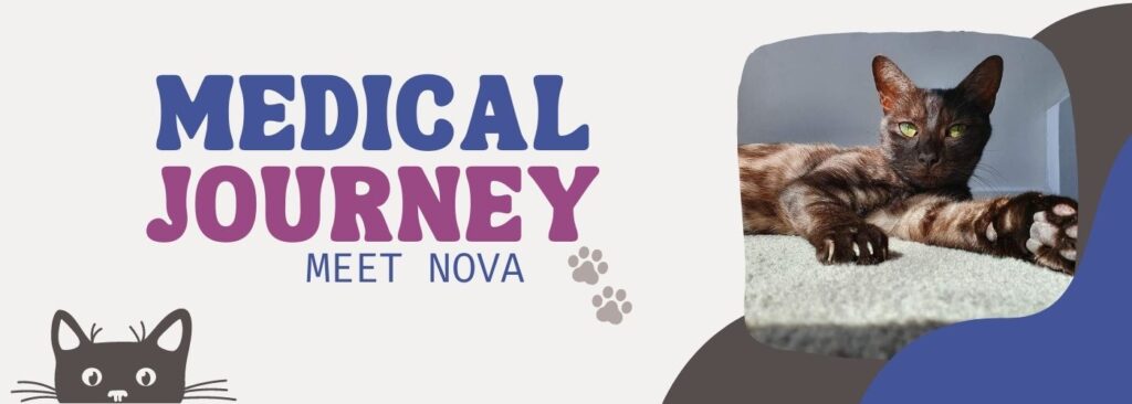 A Medical Journey Story, Meet Nova