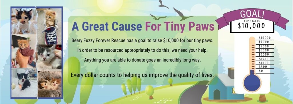 Great Cause For Tiny Paws
