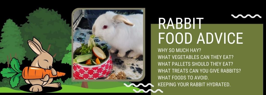 Rabbit Food Advice